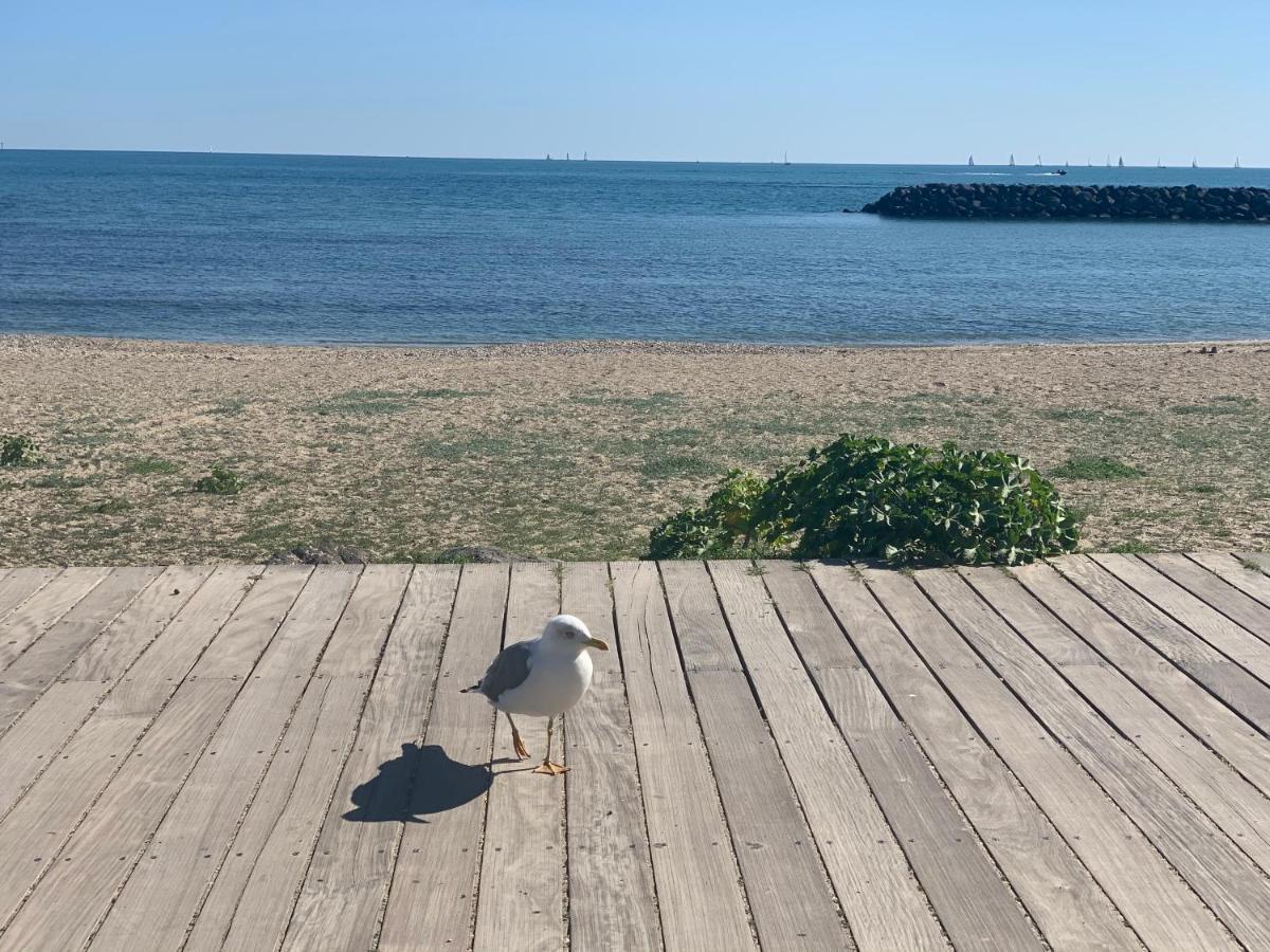 Studio Face A La Mer 4 Couchages - Gratuits Piscine Tennis Et Un Parking Prive Rare Et Tres Utile - Vue Magnifique Sur La Mer - Agreable En Toutes Saisons Ile Des Pecheurs - La Brigantine - Emplacement Et Vue Rares Au Cap D'Agde Exterior foto